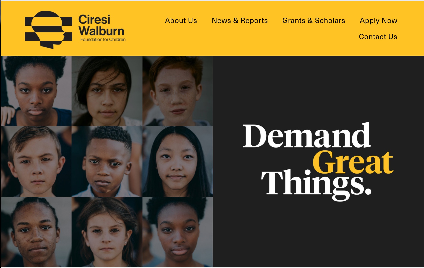  Ciresi Walburn Foundation website homepage 