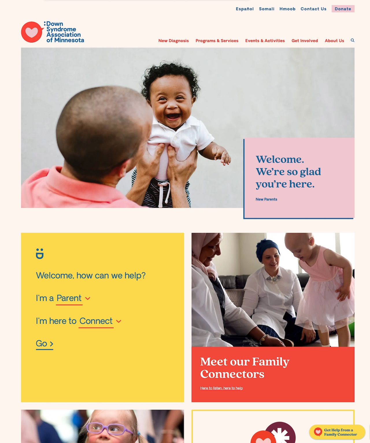  Screenshot of Down Syndrome Association of Minnesota website homepage 